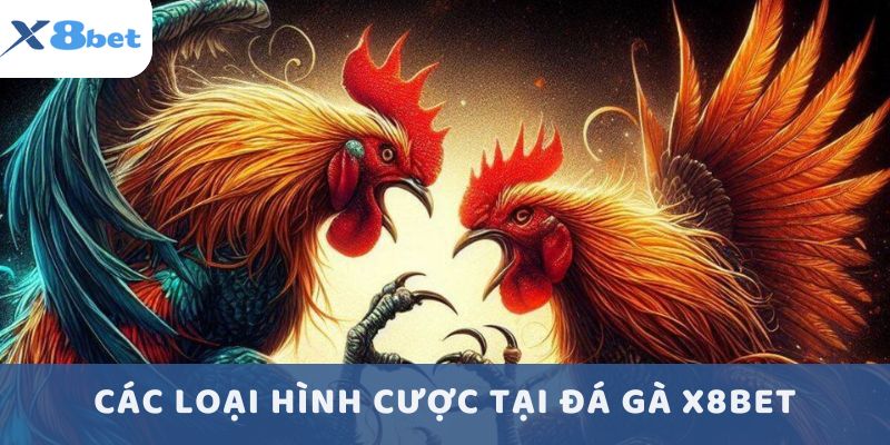 Các loại hình cược tại đá gà X8BET