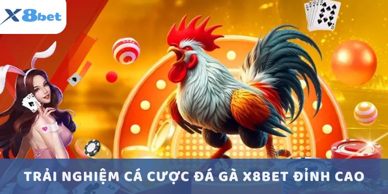 Trải nghiệm cá cược đá gà X8BET đỉnh cao